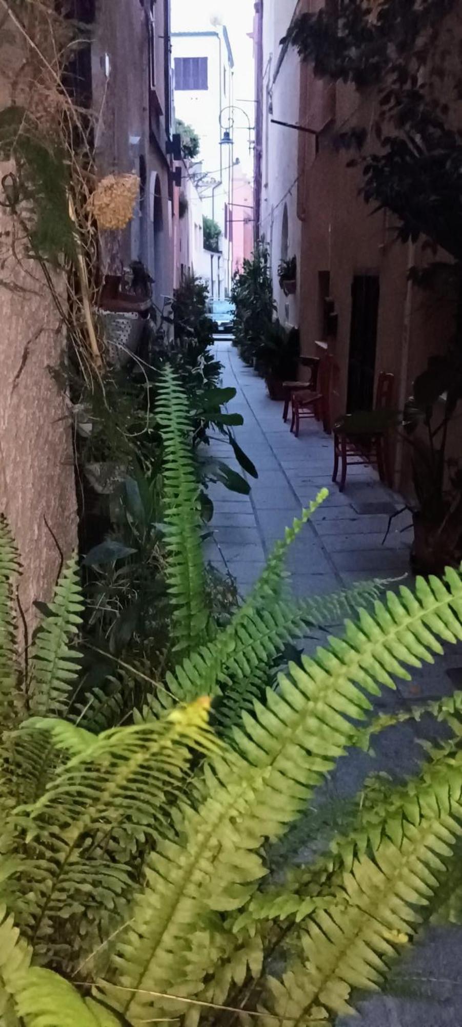 Casa Vacanze Nel Cuore Di קליארי מראה חיצוני תמונה